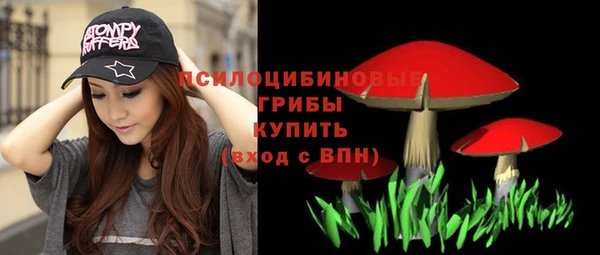 ПСИЛОЦИБИНОВЫЕ ГРИБЫ Алексин