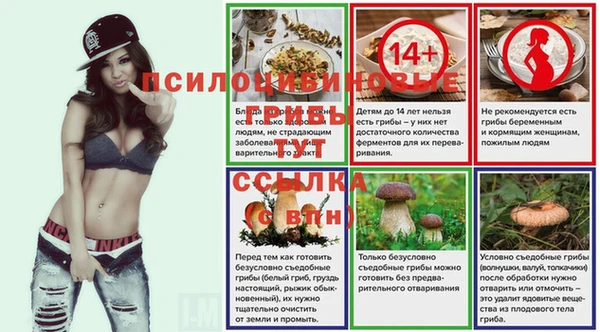 эйфоретик Арсеньев