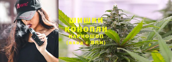 ПСИЛОЦИБИНОВЫЕ ГРИБЫ Алексин