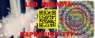 индика Кандалакша