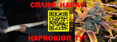 индика Кандалакша