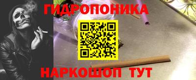индика Кандалакша