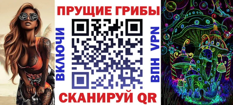 Галлюциногенные грибы Psilocybe  площадка клад  Петропавловск-Камчатский 