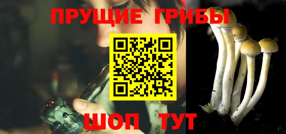 Галлюциногенные грибы прущие грибы Петропавловск-Камчатский
