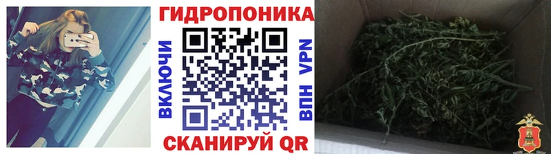Бошки Шишки тримм  Петропавловск-Камчатский 